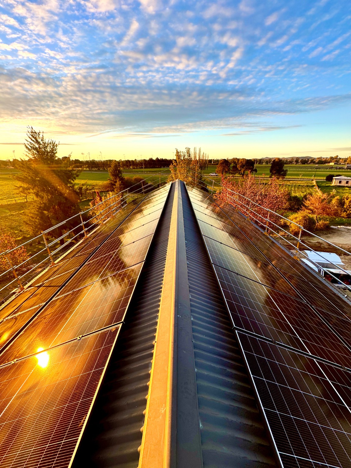 Solar panels at golden hour in the Mudgee region